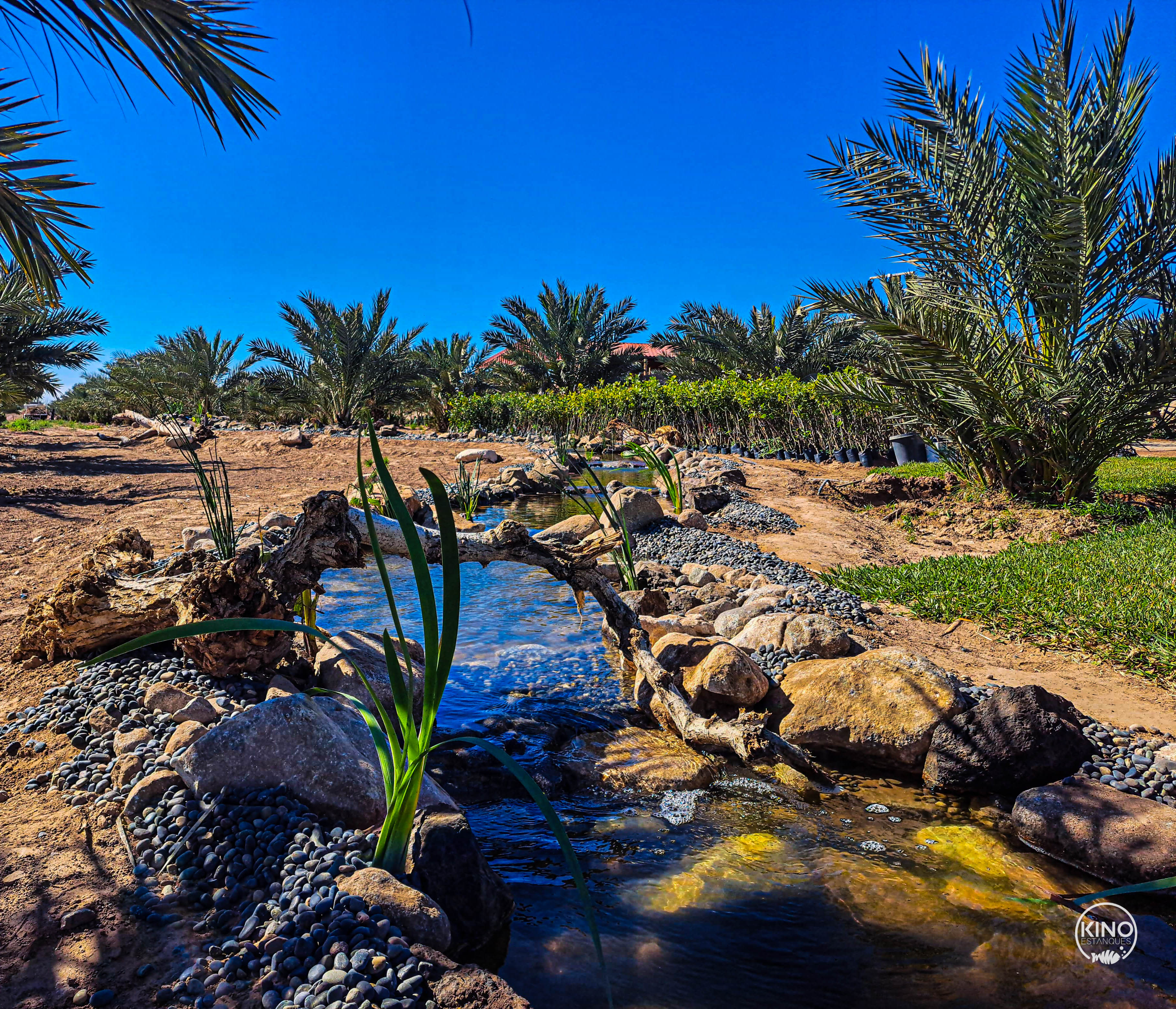 Arroyo de Agua Viva